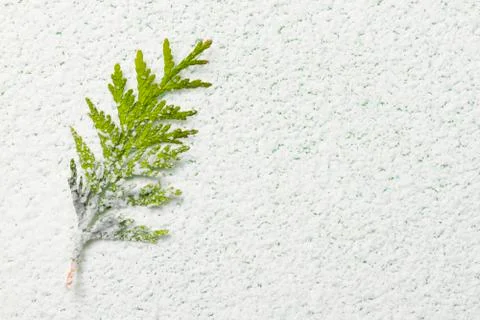 Snow background Stock Photos