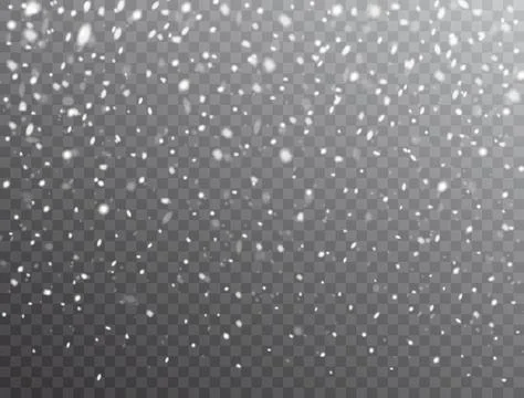 Snow background. Realistic falling snow. Christmas background with snow on tr Stock Illustration