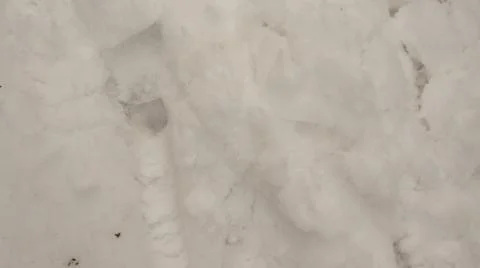 Snow background snow texture. Stock Photos