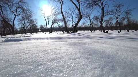 Snow background on a sunny day Video stock 87661381