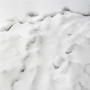 Snow background texture Stock Photos