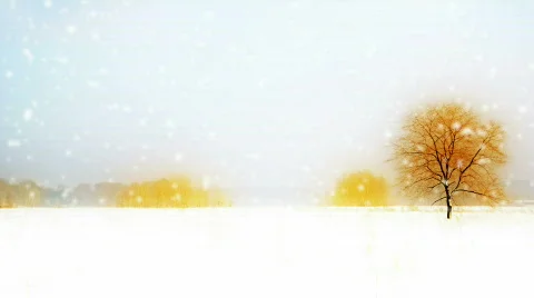 Snow is on the background of wood Stock Footage 625189