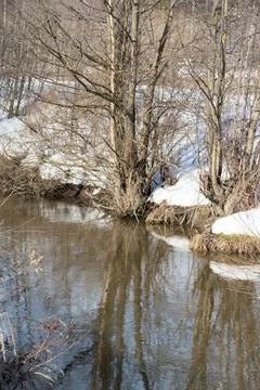 Snow on the banks of a forest river, trees near the water, early spring, refl Stock Photos