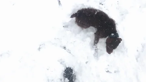 Snow in Bath Stock Footage 102886939