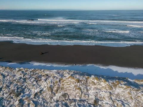 Snow on the beach grass Stock Photos