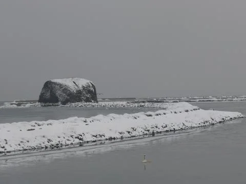 Snow beach 库存照片