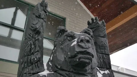 SNOW BEAR STATUE Stock Footage 178563242