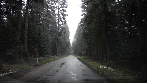 Snow Begins to Fall on Forest Road Stock Footage 310429802