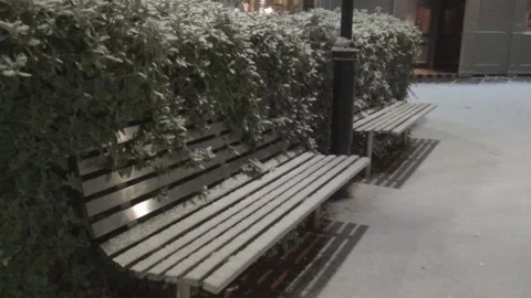 Snow on bench Stock-Footage 86202301