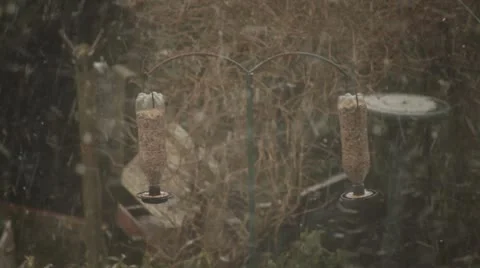 Snow on bird table Stock Footage 22276347