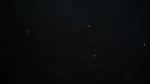 Snow on a black background Stock Footage 95501607