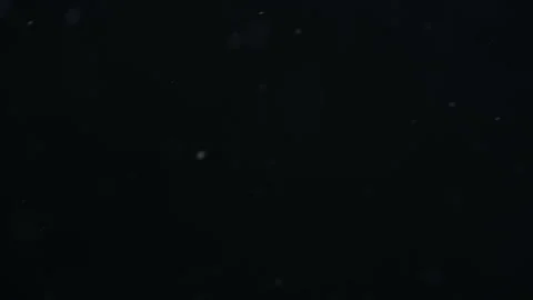 Snow on a black background Stock Footage 95501748