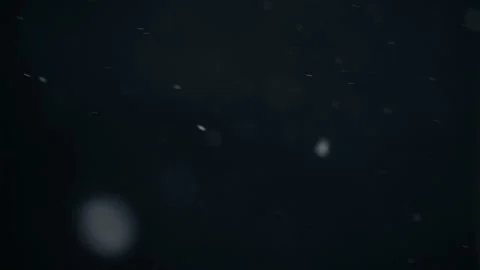Snow on a black background Vidéo 95501869