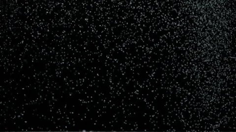 Snow on a black background Stock Footage 101019064