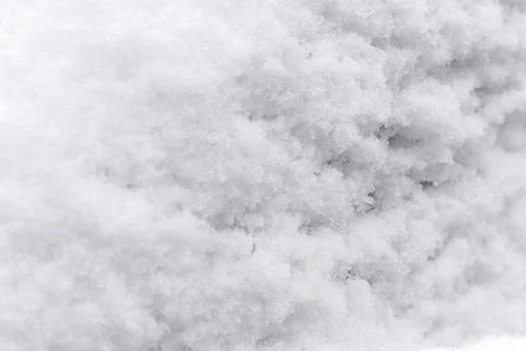Snow blankets the ground, creating a thick layer of white fluff. Sunlight s.. Stock Photos