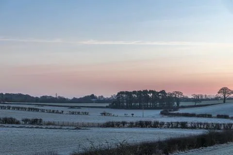 Snow blankets quiet fields at dawn Stock Photos