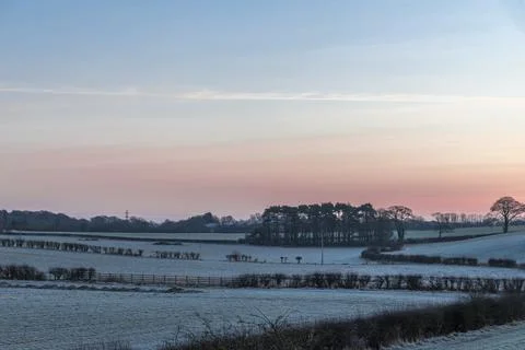 Snow blankets quiet fields under soft dawn hues Stock Photos