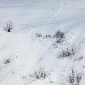 Snow blankets a quiet hillside. Single trail winds through the white expans.. Stock Photos