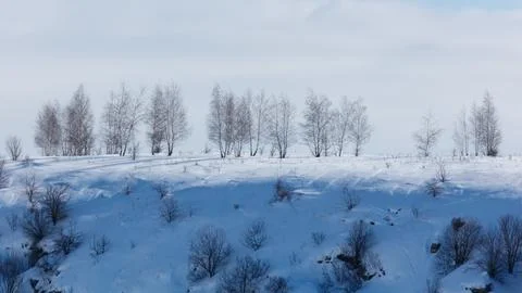 Snow blankets a quiet, tree-dotted hillside Stock Photos