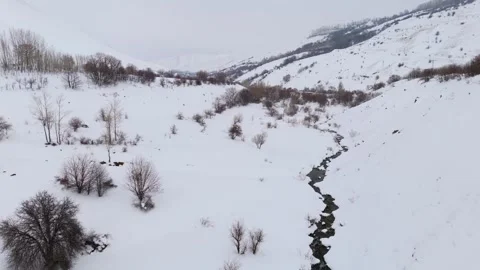 Snow blankets quiet winter forest with rocky stream 스톡 동영상 332367449