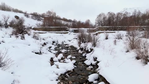 Snow blankets quiet winter forest with rocky stream Stock Footage 332371645