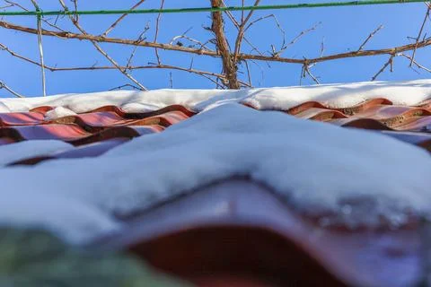 Snow blankets a rooftop under a clear blue sky with tree branches reaching ou Stock Photos