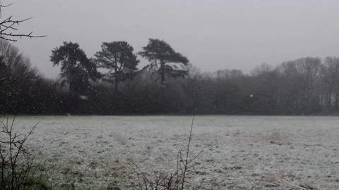 Snow Blizzard Across Open Space. Stock-Footage 148105583