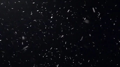 Snow Blizzard Alpha Matte Stock Footage 72402003