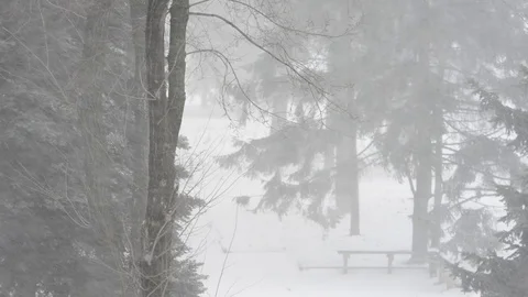 Snow blizzard and a strong wind in the city park. Stock Footage 86484211