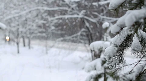 Snow Blizzard Stock Footage 33535254
