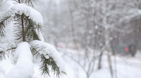 Snow Blizzard Stock Footage 33535286