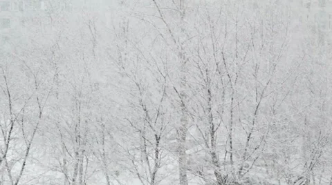 Snow blizzard Stock Footage 37182880