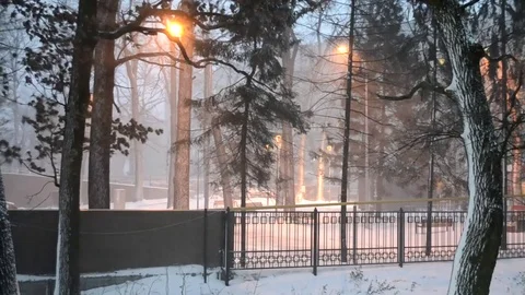 Snow Blizzard Video stock 83708228