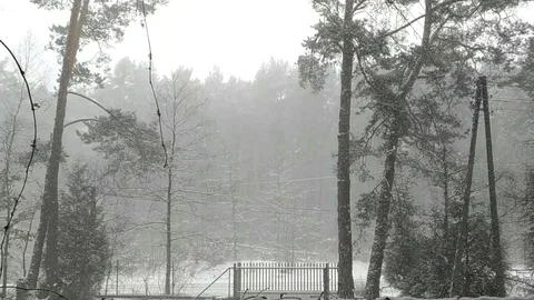 Snow Blizzard Stock Footage 86383927
