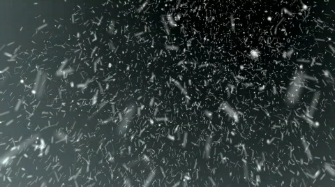 Snow Blizzard HD Loop Stock Footage 772250