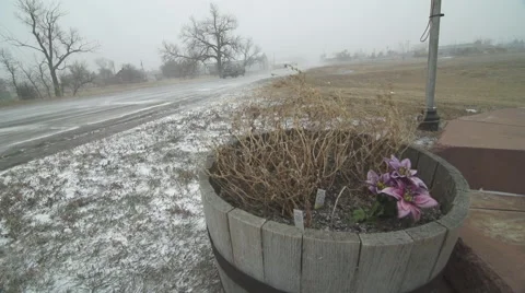 Snow blizzard on an Indian Reservation Stock-Footage 40316145