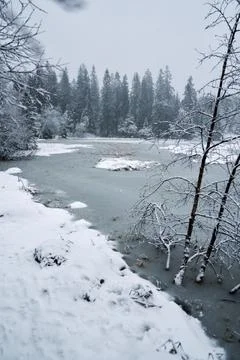 Snow blizzard Stock Photos