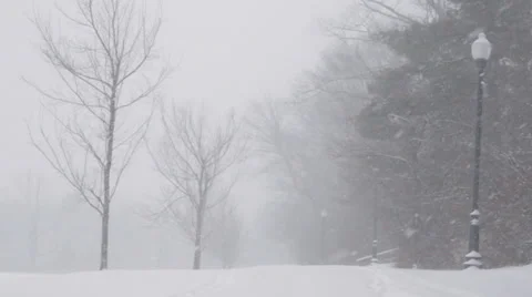 Snow Blizzard - Public Park Stock Footage 34301764