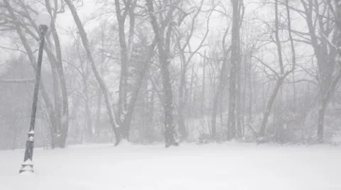 Snow Blizzard - Public Park (Pan) Stock Footage 34301660