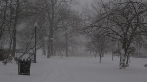 Snow Blizzard - Public Park (w. Dog Walker) Video stock 34301652