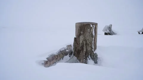 Snow blizzard on the seashore. Stock Footage 121084913
