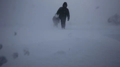 Snow, blizzard, winter Video stock 983254