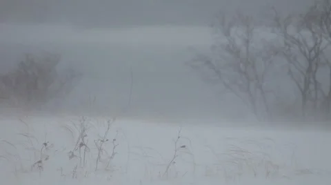 Snow, blizzard, winter Video stock 983370