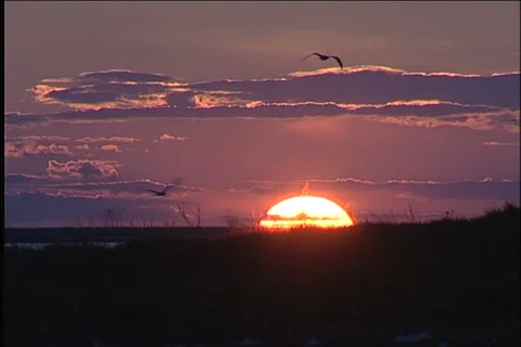 Snow, blizzard, winter 스톡 동영상 983427