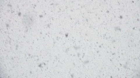 Snow Blizzard with Zero Visibility Stock Footage 146471846