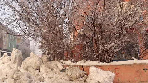 Snow Blocks in Front of Building and Ice Flakes on Tree in Erzurum, turkey Stock Footage 294372023