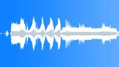 Snow BlowerSound Effect