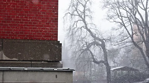 Snow blowing fast next to a red wall and trees in the background Vidéo 268620785