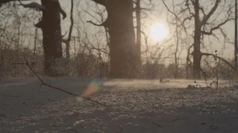 Snow blowing in forest Stock Footage 35510678