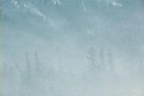 Snow blowing over forest 3 Stock Footage